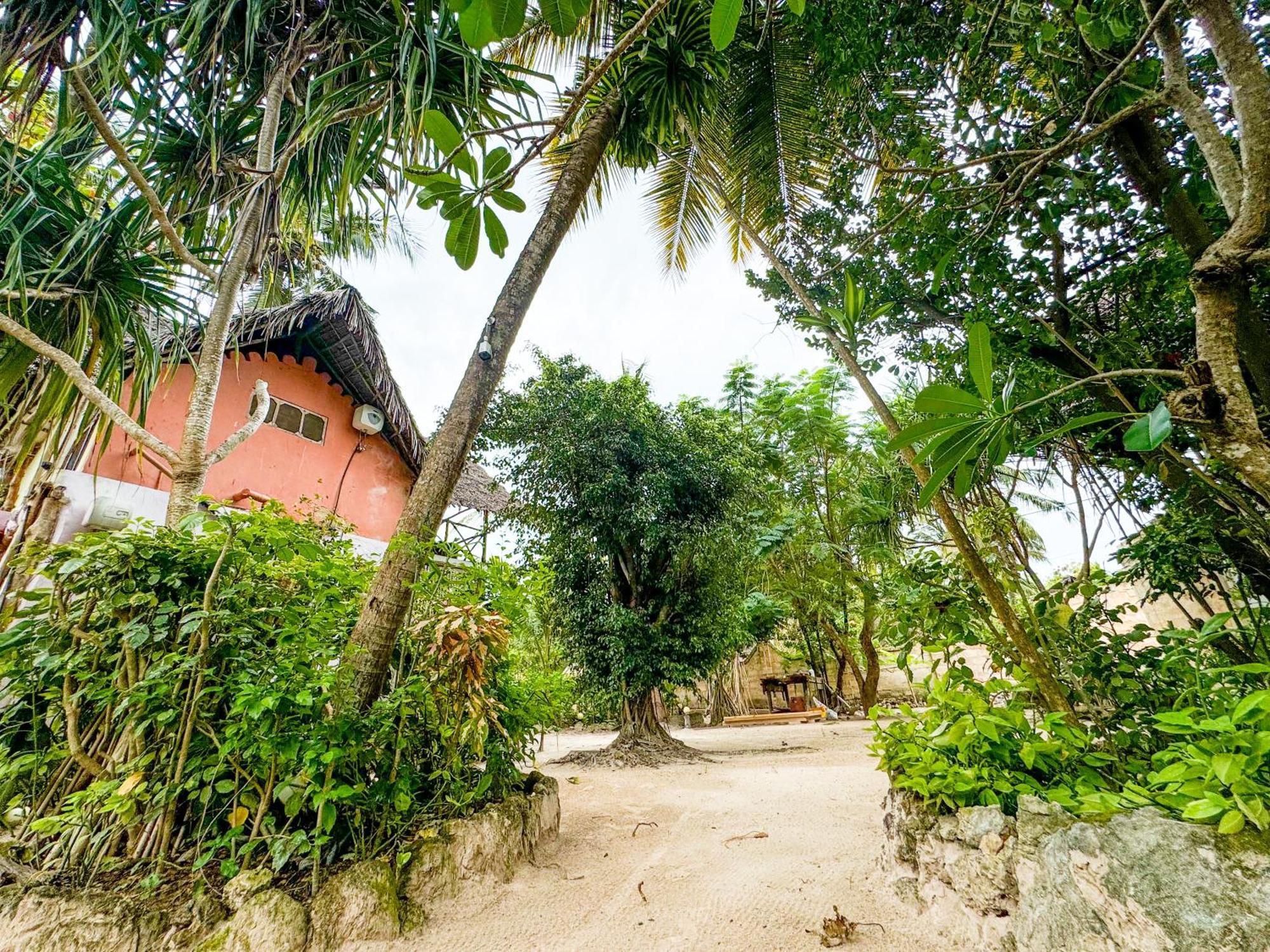 Sagando Bungalows Zanzibar Michamvi Zewnętrze zdjęcie